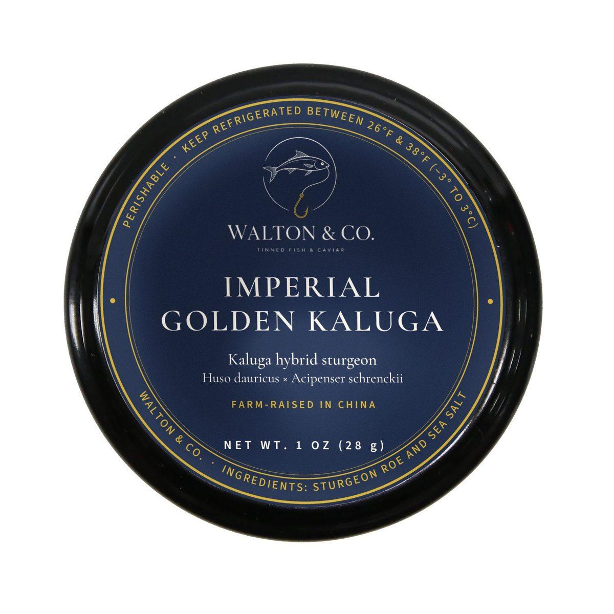 Imperial Golden Kaluga — Walton & Co.